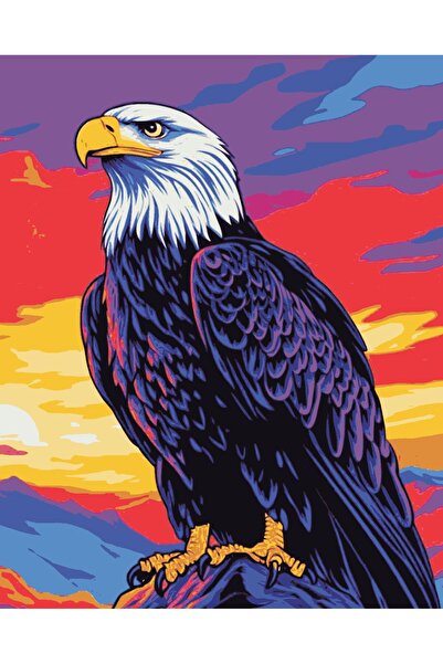 Tuval Dünyası Sayılarla Boyama Tuval Seti 40x50 cm Kartal