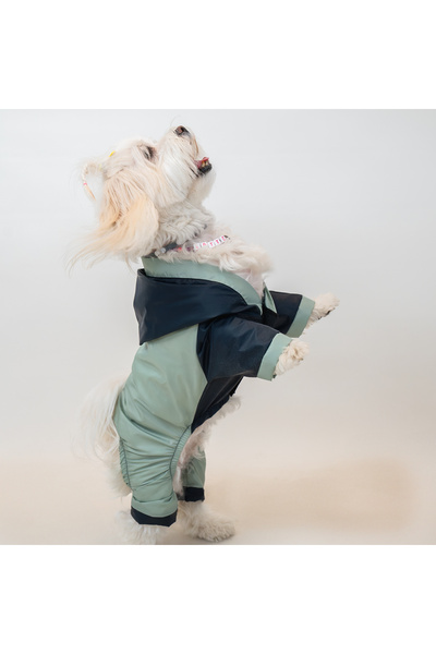 Buddy Store Kedi & Köpek SOFT Rüzgarlığı / Yağmurluğu - Rüzgar Kesici ve Su geçirmez Kumaş