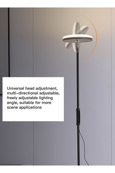 sharpdo LED Modern Vertical Three Color Variable Light Floor Lamp 18W