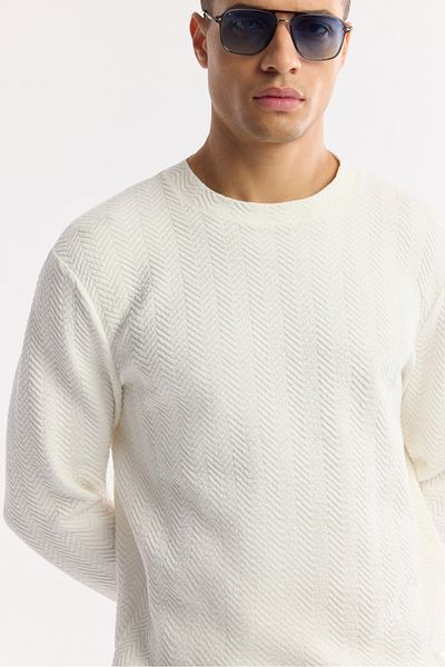 Avva Men's Ecru Crew Neck Jacquard Elastane Sweatshirt A51Y1228