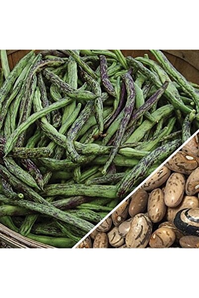 Karahasanoğlu Tarım YERLİ ÇİLLİ KIZ SIRIK FASULYE TOHUMU 100 GR