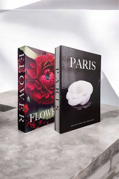 BayCazip Decorative Book Look Box Set of 2 Decorative Book Looking Box