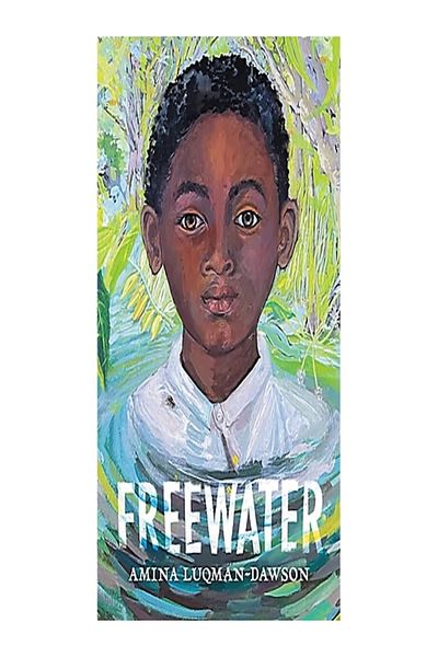 Little Brown Freewater (Space Water Master)