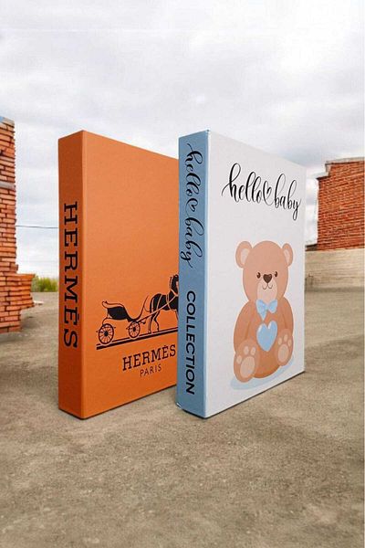 BayCazip Decorative Book Look Box Set of 2 Decorative Book Looking Box