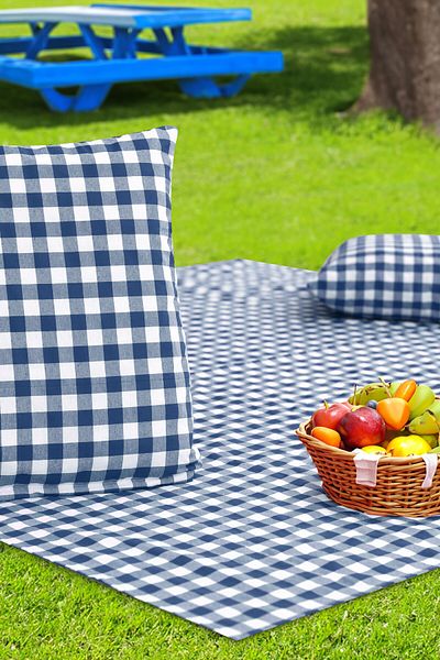Soft Kare Cluster of 2 45*45cm Cushions with Large Checkered Picnic Mat