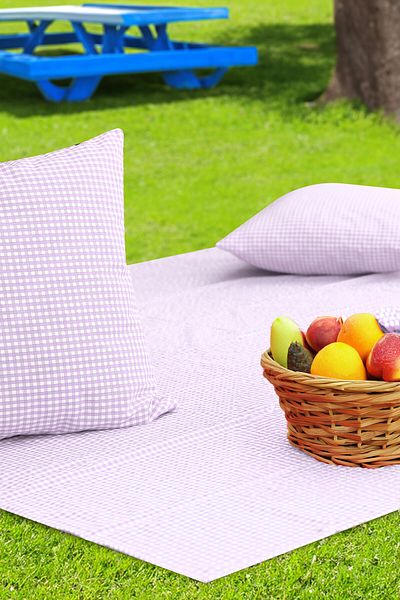 Soft Kare Gingham 170*170 Picnic Mat and 2Pcs 45*45cm Cushions