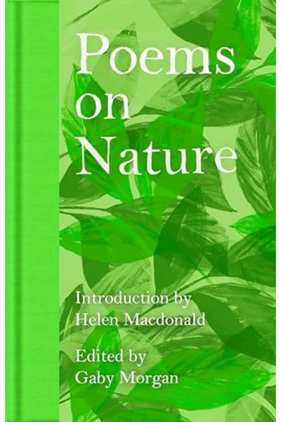 Pan Macmillan Macmillan Collectors Library