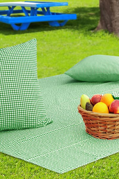 Soft Kare Gingham 170*170 Picnic Mat and 2Pcs 45*45cm Cushions