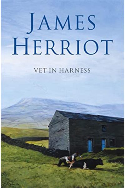 Pan Macmillan Vet In Harness