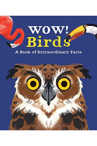 Pan Macmillan Wow Bireysel Gelişim