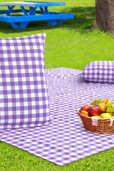 Soft Kare Cluster of 2 45*45cm Cushions with Large Checkered Picnic Mat