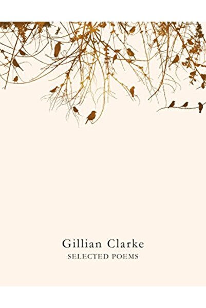 Picador قصائد مختارة