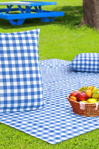 Soft Kare Cluster of 2 45*45cm Cushions with Large Checkered Picnic Mat