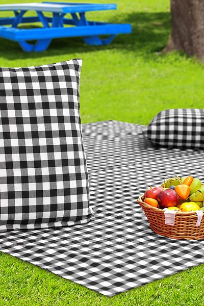 Soft Kare Cluster of 2 45*45cm Cushions with Large Checkered Picnic Mat