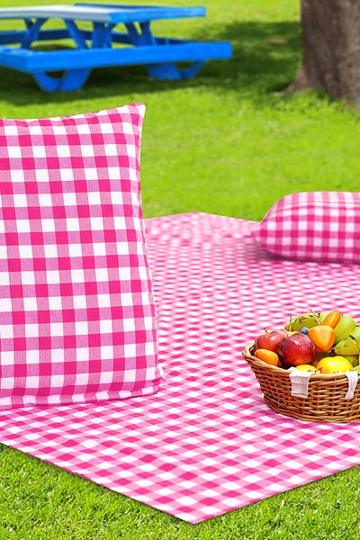 Soft Kare Cluster of 2 45*45cm Cushions with Large Checkered Picnic Mat