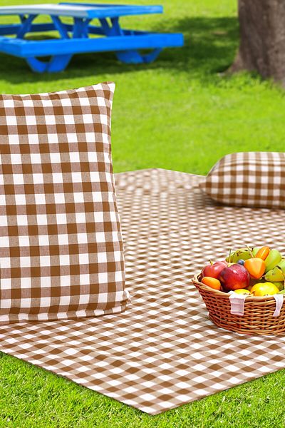 Soft Kare Cluster of 2 45*45cm Cushions with Large Checkered Picnic Mat