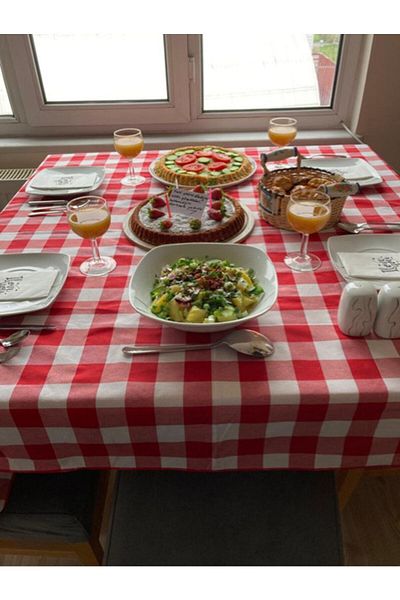 BELMODMODA Red and White Large Esose Checkered Zefir Tablecloth