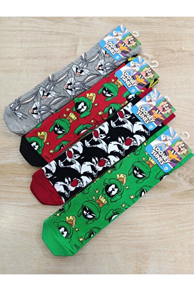 Çimpa Çorap Çamaşır Licensing Socks 36-39 Number 4 Pairs