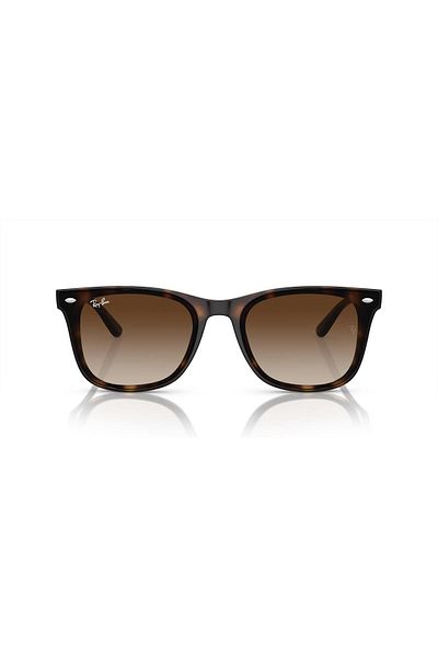 Ray-Ban Sunglasses Rb4420 65 710/13
