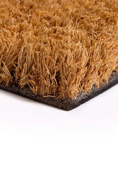 DefLife Home Live Love Meow