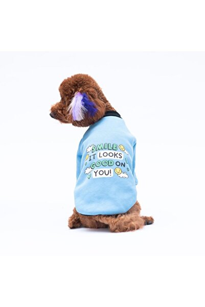 Pawstar Blue Loviisa Sweat Cat Dog Sweat- Cat Dog Outfit