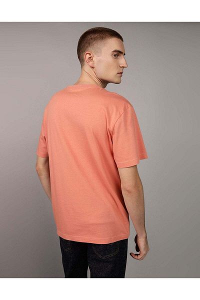 AMERICAN EAGLE AE Embroidered Graphic T-Shirt