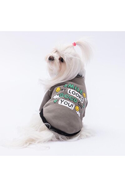Pawstar Smoked Loviisa Sweat Cat Dog Sweat- Cat Dog Outfit
