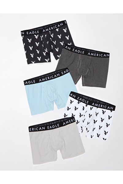 AMERICAN EAGLE AEO 4.5" Classic Boxer Brief 5-Pack