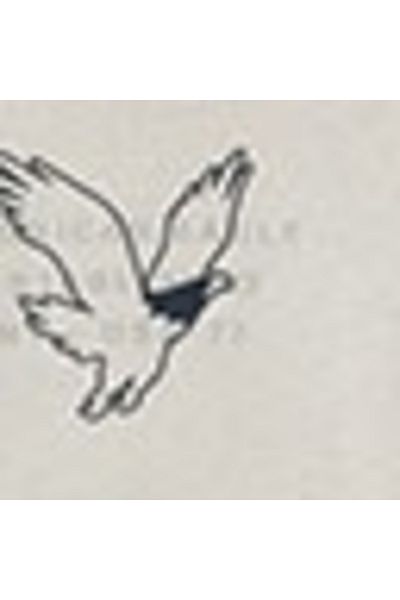 AMERICAN EAGLE AE Super Soft Icon Graphic Crew