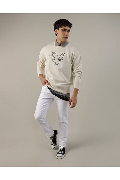 AMERICAN EAGLE AE Super Soft Icon Graphic Crew