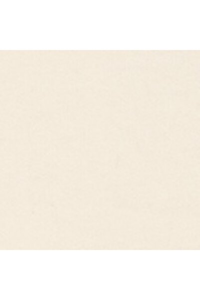 AMERICAN EAGLE AE Quarter-Snap Mockneck Sweatshirt