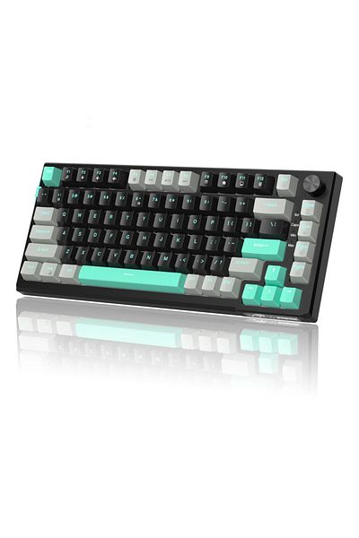 MageGee Blue Whale Switch MageGee SKY81 75% Mechanical Gaming Keyboard, RGB Gasket Hot Swappable Wired Custo