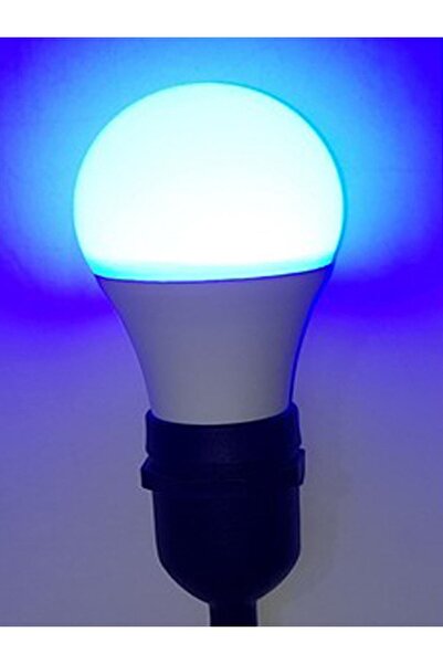 BLUE LİGHTİNG Gece Lambası & Normal Ampul Beyaz/mavi 2'si Bir Arada Hem Kolaylık Hem Tasarruf