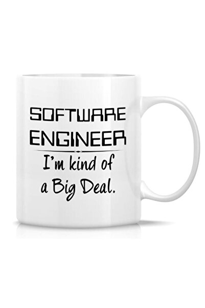 Be Care ريتز مج مضحك - مج قهوة سيراميك بتصميم مهندس برمجيات Kind of a BigDeal...