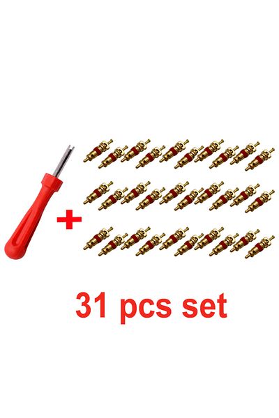 Choice 31pcs set Portable Tire Valve Core Remover Installer Tool Removal Tool Car Bike Bicycle Motorcycle T
