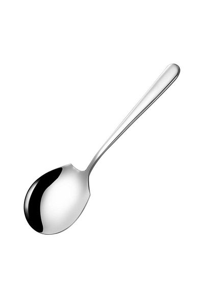 Chavin Silver Color Steel Serving Spoon 22 cm Cin747By