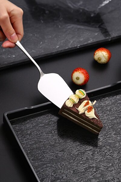 Chavin 1010 Steel Silver Gray Cake Spatula Cake Presentation Cin748By