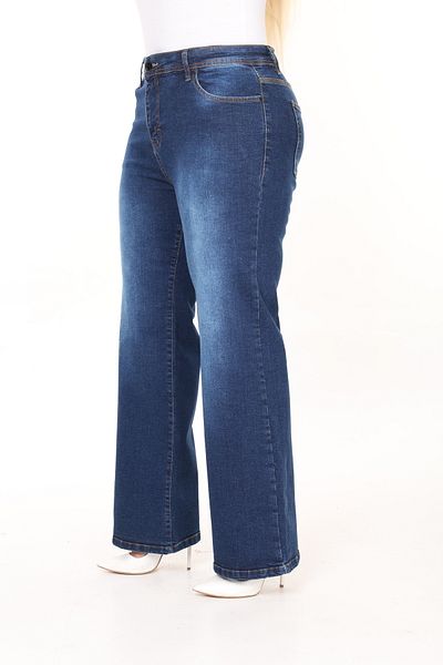 Era Lisa Regular Cut Straight Leg High Waist Women's Plus Size Jeans