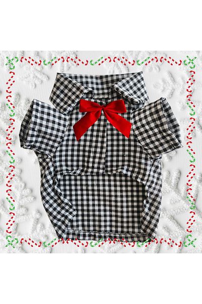 atelyu Cat Dog Suit Checkered Shirt