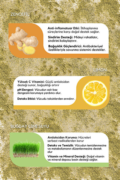 Ancient Greens Ginger Shot I Zencefil, Limon, Buğday Çimi Suyu Tozu Karışımı 72g 30 servis