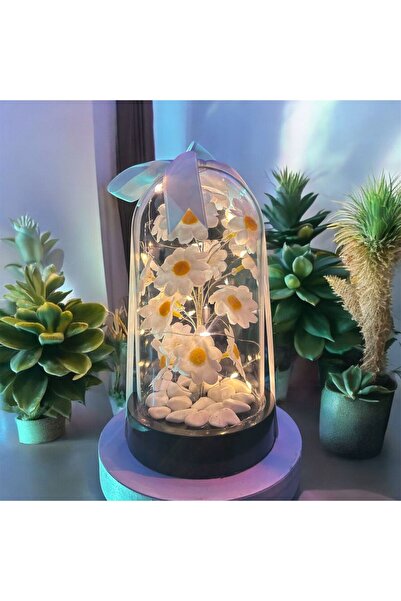 BYSHOPPİNG Dekoratif Led Işıklı Papatya Fanusu Sevgililer Gününe Özel Hediyelik Buket