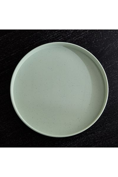 erorex Vanilla Speckle Dinner Plate
