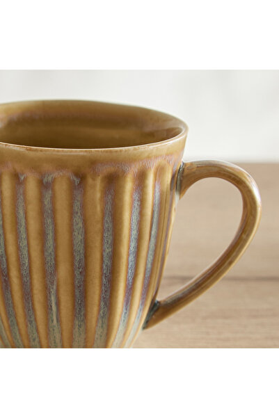 erorex Donna Ribbed Mug - 300 ml