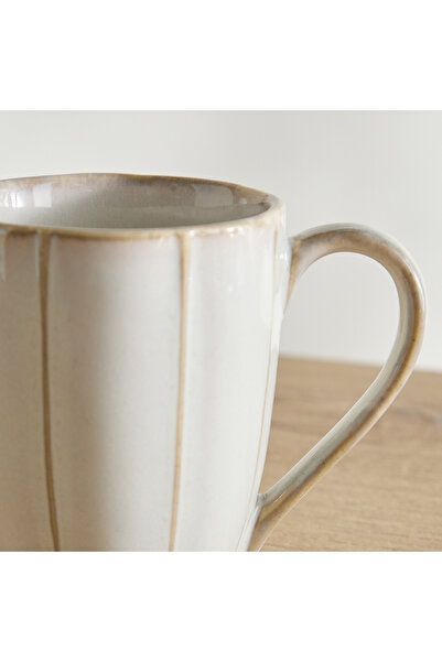 erorex Donna Stripe Mug - 300 ml