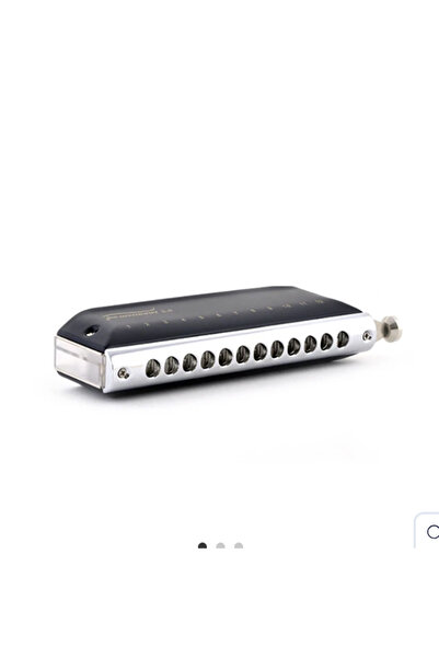 East top Easttop Forerunner T1248NV ver. 2.0 Cromatik Ağız Mızıkası (C Key)