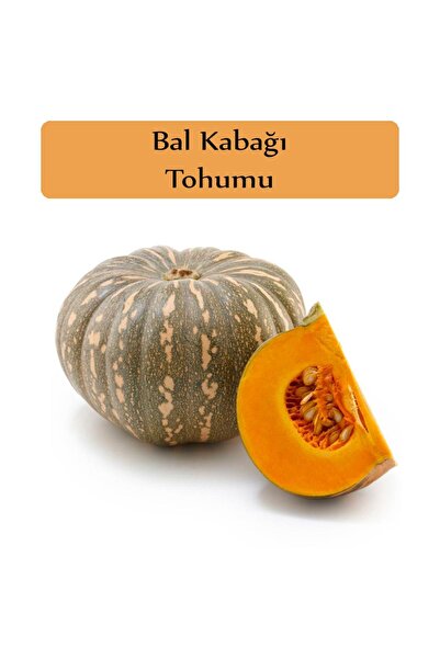 Zencefil Organik Bal Kabağı Tohumu 1 Paket Kabak Tohumu Kapalı Paket Tohum Ek...