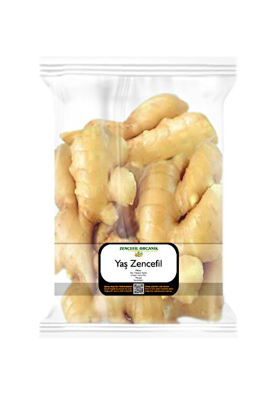 Zencefil Organik Taze Zencefil 500 Gr. Yaş Zencefil Yeni Mahsül Fresh Ginger ...