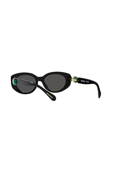 Swarovski Sk6002 10018753   Model Sunglasses