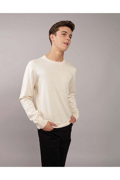 AMERICAN EAGLE AE Crew Neck Sweater