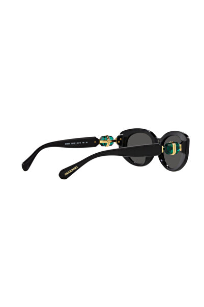 Swarovski Sk6002 10018753   Model Sunglasses